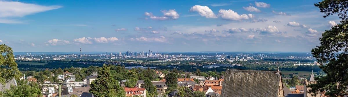 Unternehmensberatung Rhein-Main