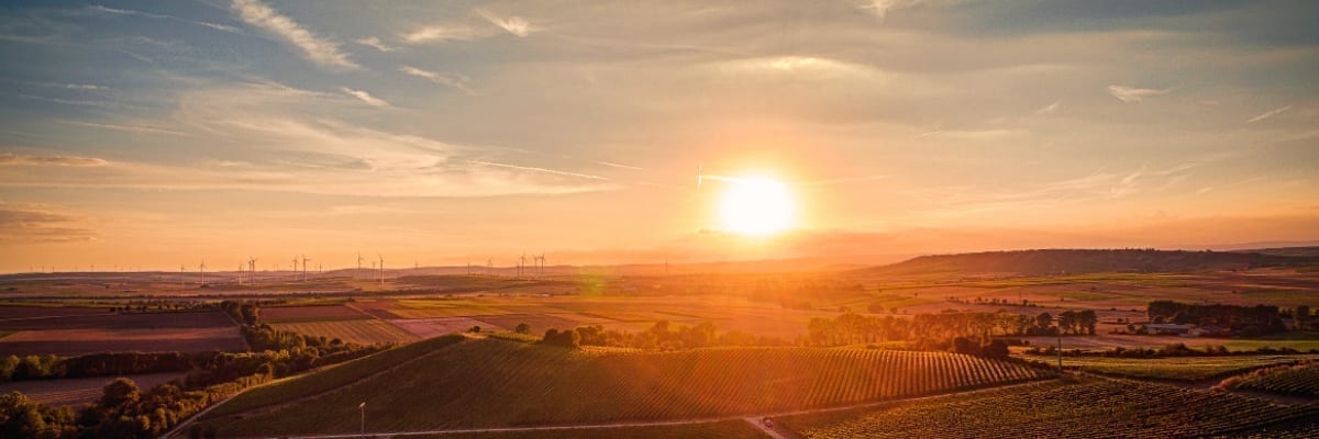 Unternehmensberatung Rheinhessen